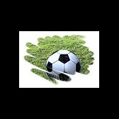voetbal